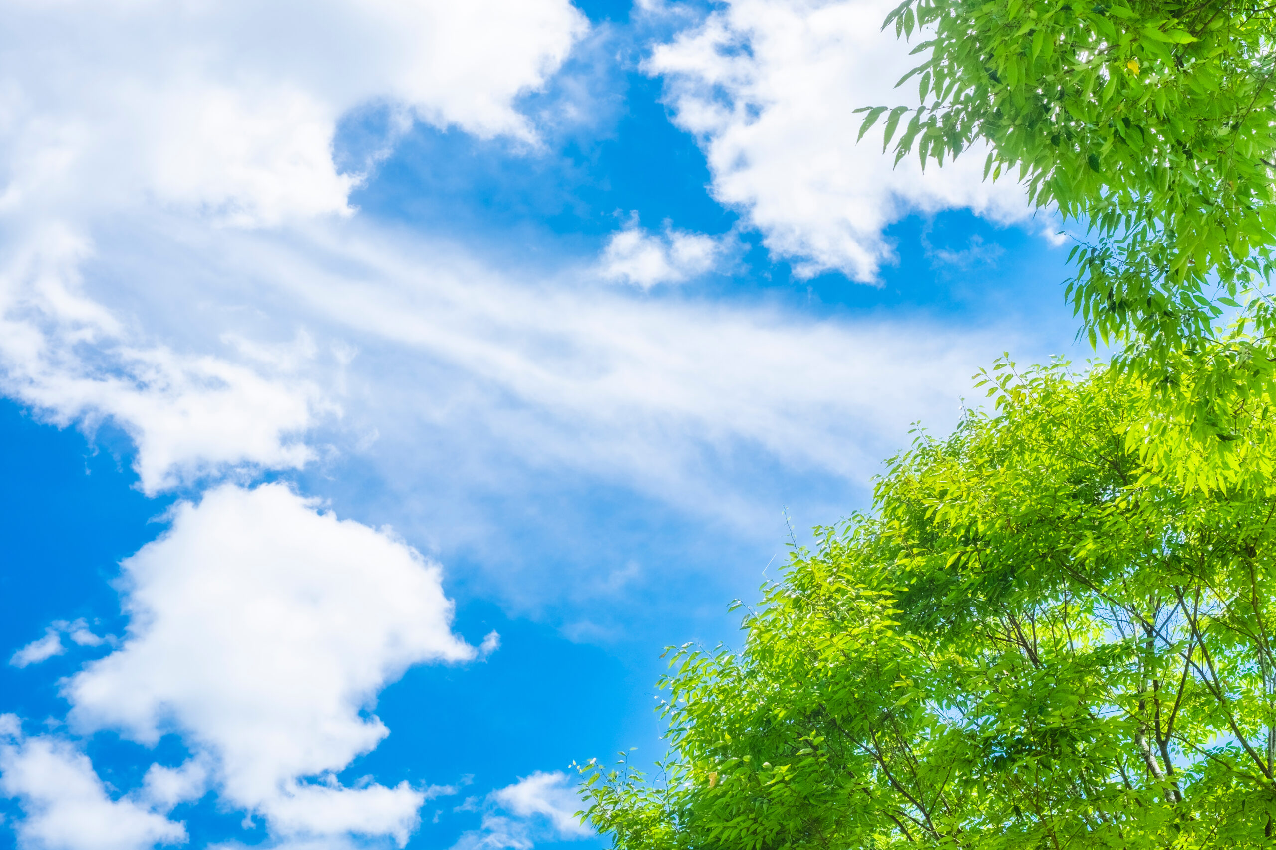 ゴールデンウィーク休業のお知らせ